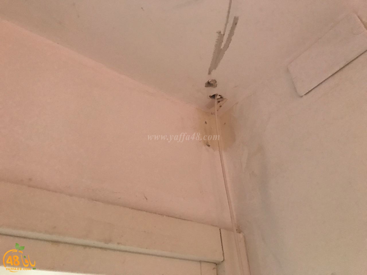 satoo yaffa eiyad (8).jpg